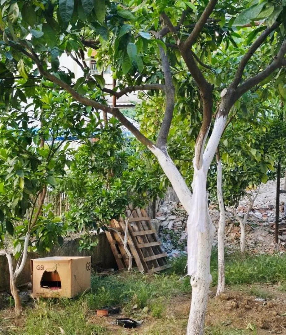 Pensión Guesthouse Mecani Gjirokastër Albania
